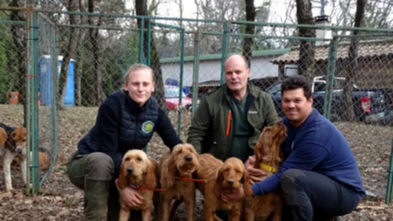 Brevet de Chasse 2026 : L'Équipage Grand Fauve de Bretagne Défend Son Titre en Forêt de Valbonne