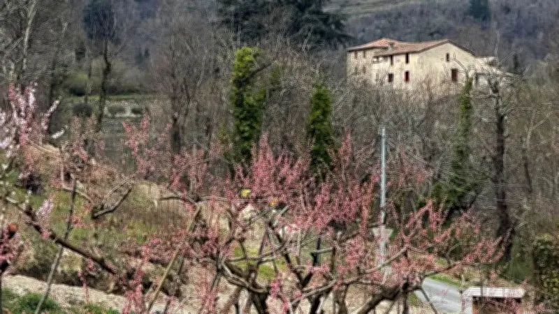 Brûlage dirigé réussi dans le Gard pour prévenir les incendies et favoriser le pastoralisme