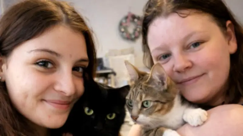 Béziers : L'association 'Ronron du bonheur' suspend son aide aux chats errants faute de moyens