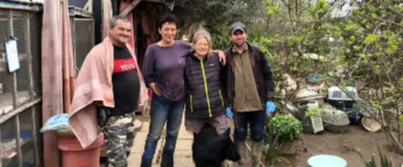 Béziers : le refuge Les Chats Libres contraint à la fermeture, un appel à l'aide désespéré