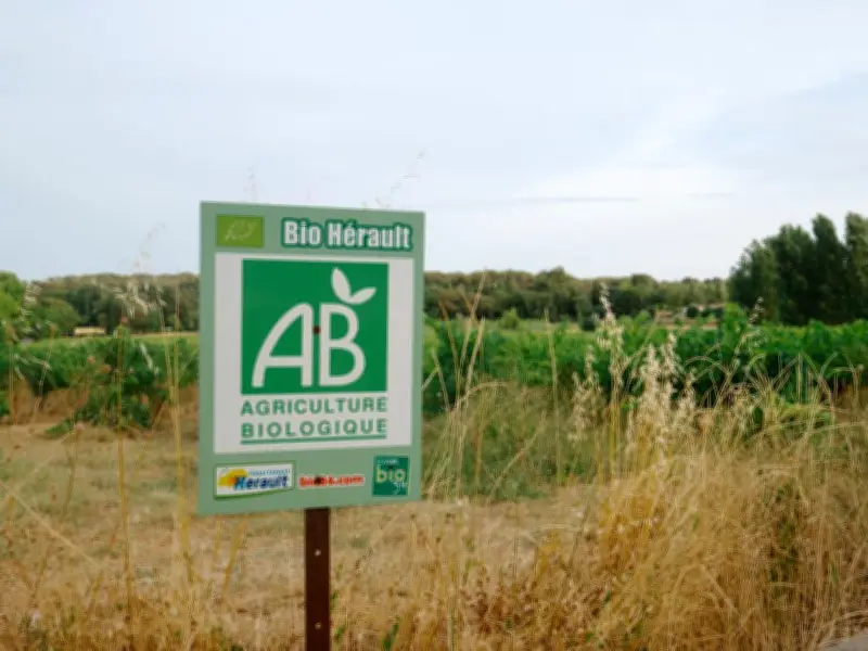 Cadmium dans l'alimentation : le bio est-il vraiment plus sûr pour la santé ?