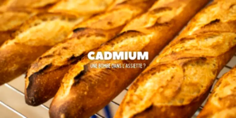 Cadmium dans l'alimentation : une bombe sanitaire silencieuse dénoncée par les experts