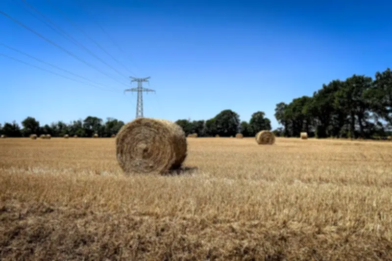 Cadmium dans nos sols : l'alimentation, principale source d'exposition des Français