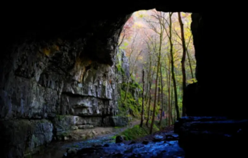 Cambodge : découverte de nouvelles espèces dans les grottes inexplorées de Battambang
