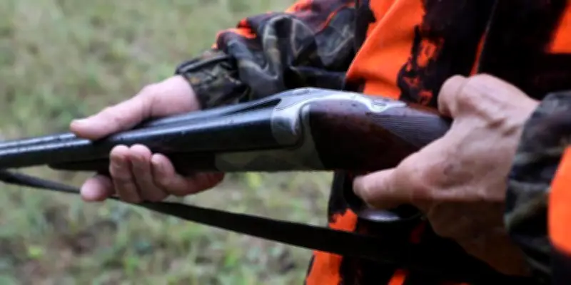 Candidat municipal épinglé pour des propos violents sur un groupe pro-chasse