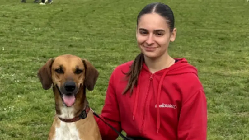 Canicross30 brille aux championnats de France avec plusieurs podiums et qualifications