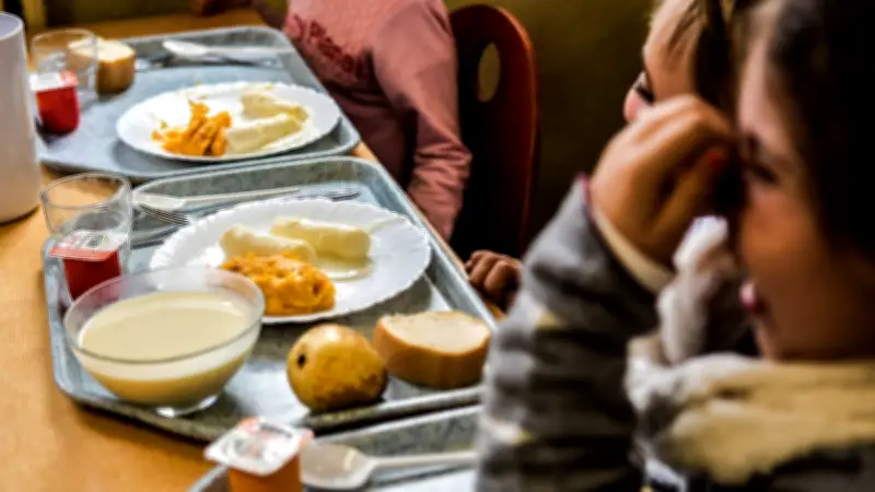 Cantines de l'Hérault : des disparités dans l'offre bio et végétarienne