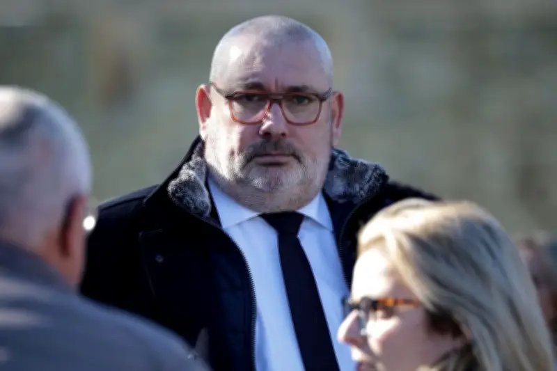 Carcassonne bascule au Rassemblement National lors des municipales