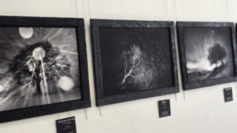 Carole Reboul illumine la nuit cévenole à la médiathèque Germinal