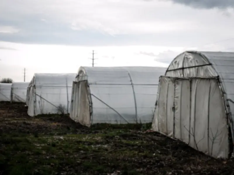 Carpentras : des saisonniers tunisiens dénoncent des conditions de travail proches de l'esclavage