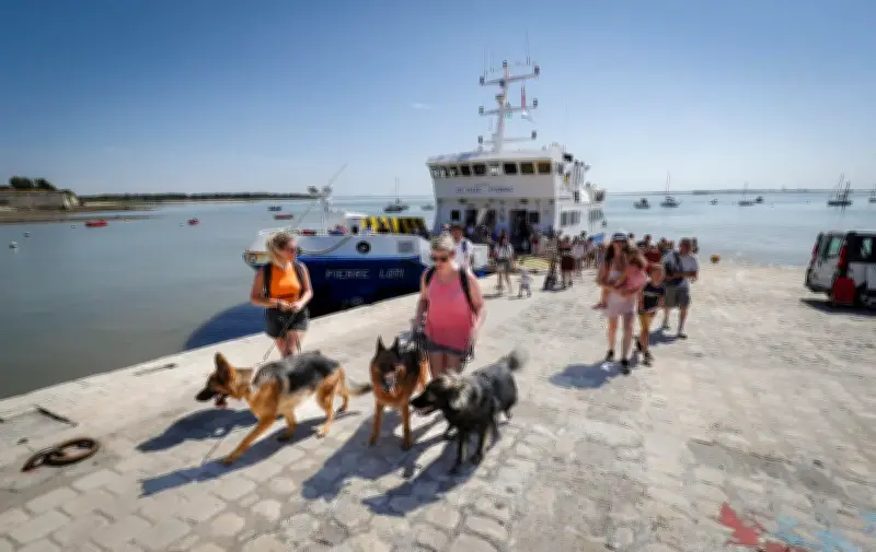 Carte Privilège Rochefort Océan 2026 : plus de 50 avantages pour les résidents