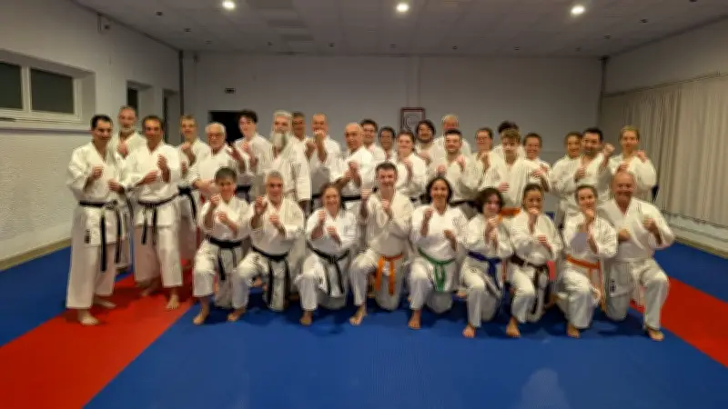 Castelnau Karaté Académie et Juvignac Karaté Club unis pour un entraînement mémorable