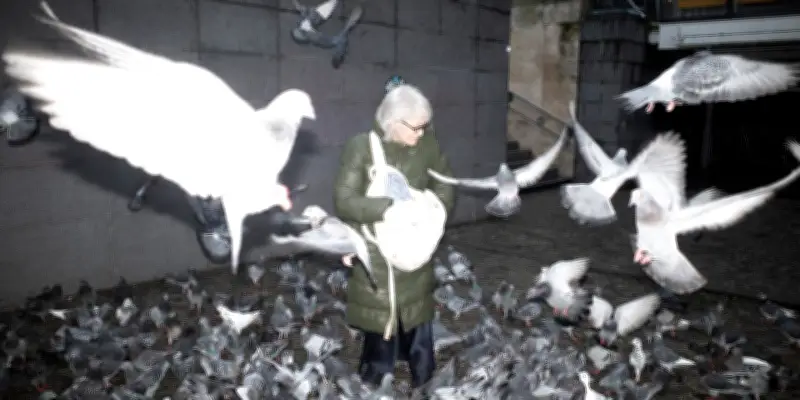 Catherine Hervais et Céline Albinet, les anges gardiens des pigeons parisiens