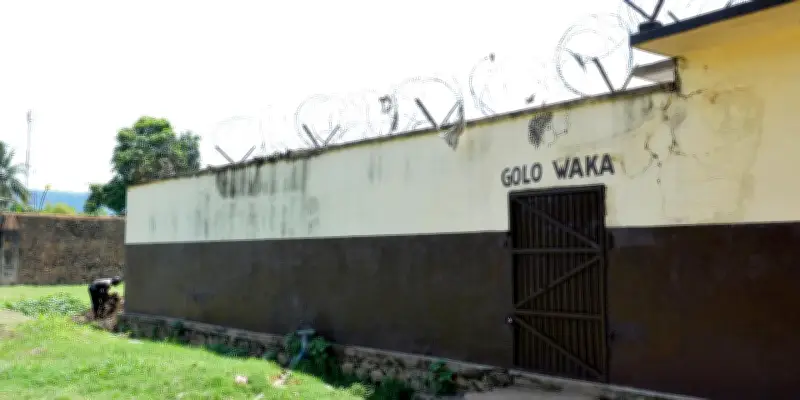 Centrafrique : libération des deux employés de MSF arrêtés à Zémio