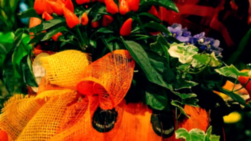 Centre de loisirs Les Boud'choux : programme automnal et Halloween pour les vacances de Toussaint