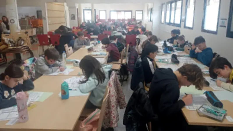 Championnat de jeux mathématiques : plus de 4 500 qualifiés pour les demi-finales