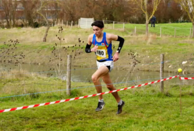Championnats de France de cross-country : la performance remarquable d'Alexandre Marc