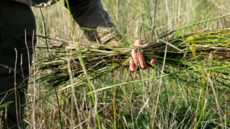 Chantier participatif de désherbage pour soutenir l'agriculture paysanne dans le Gard