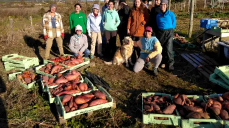 Chantier participatif à Saint-Dionisy : solidarité pour une maraîchère bio