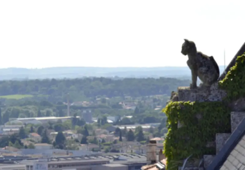 Charente Insolite : Des Chats Cachés aux Dinosaures, 15 Pépites à Découvrir