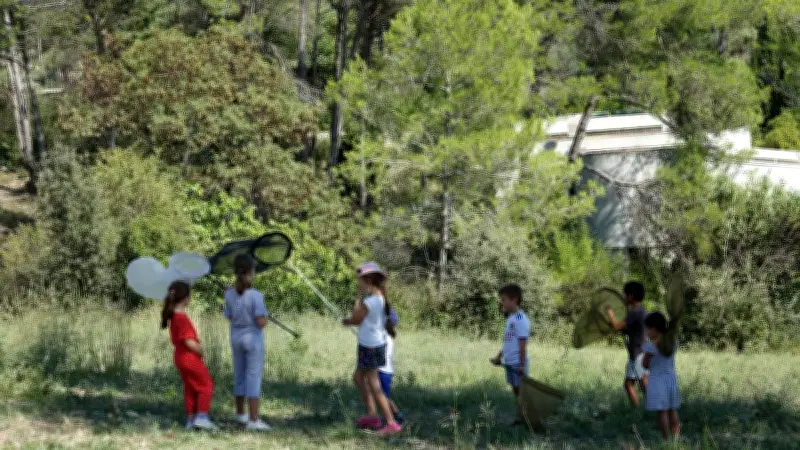 Chasse aux papillons à Grabels : une activité pédagogique pour la biodiversité
