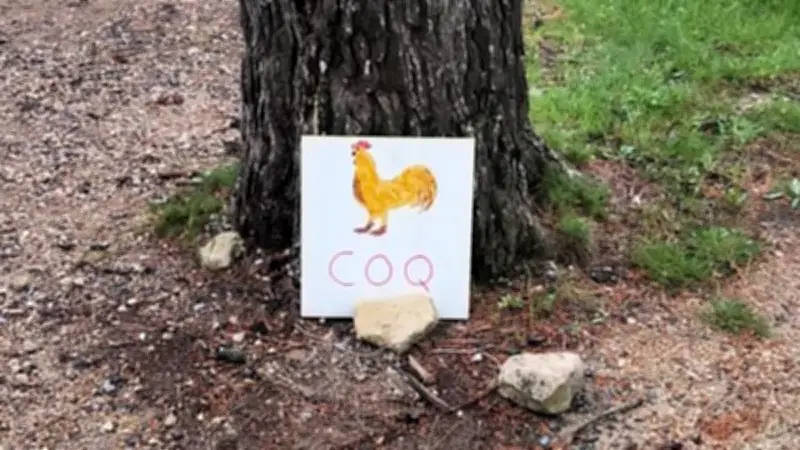 Chasse aux œufs de Pâques à Congénies : animations et convivialité au rendez-vous