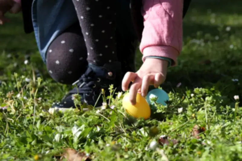 Chasse aux œufs de Pâques à Mont-de-Marsan : une tradition familiale au parc Jean-Rameau