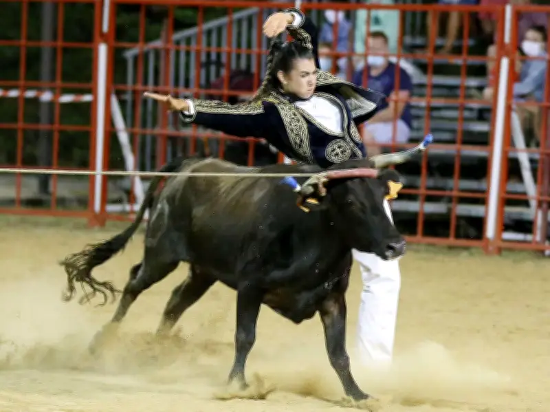 « Chevaux et passions du Sud » illumine les arènes d'Hossegor tous les jeudis jusqu'à fin août