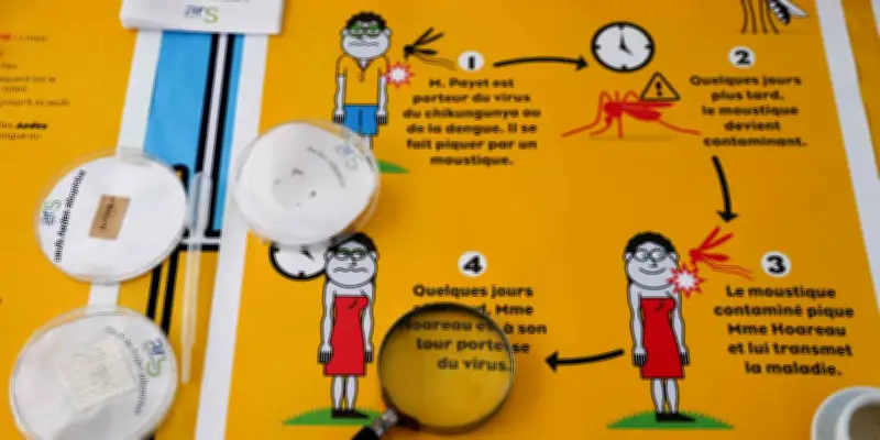 Chikungunya : un accès gratuit et ciblé aux vaccins pour anticiper la prochaine épidémie