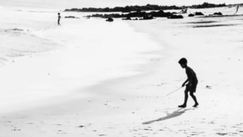 Christophe Doyen expose ses "Instantanés" marins au Domaine de Saumarez