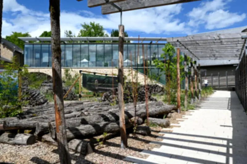 Château-Chinon rouvre un musée François-Mitterrand le 10 mai 2026