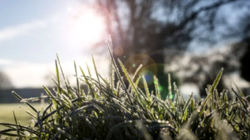 Chute des températures en Occitanie : 5 à 7°C de moins attendus avec des gelées en Lozère et Aveyron