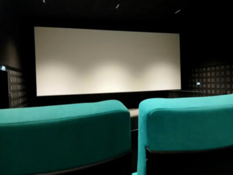 Ciné-débat à La Brèche : « Le Mystérieux regard du flamant rose » de Diego Cespedes