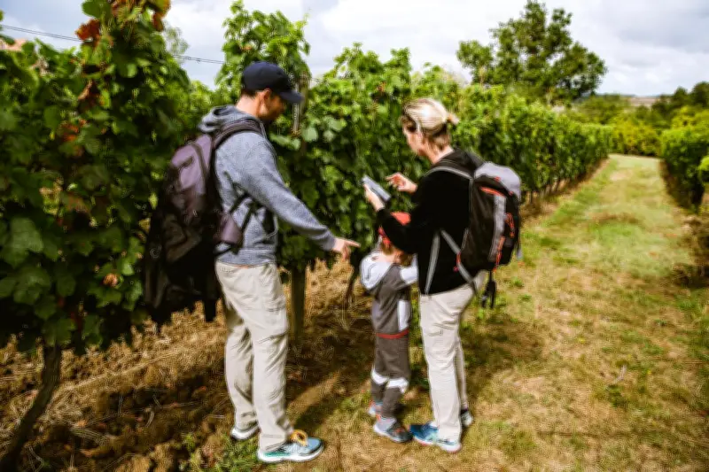 Cinq expériences œnotouristiques originales à vivre dans le vignoble de Bergerac-Duras
