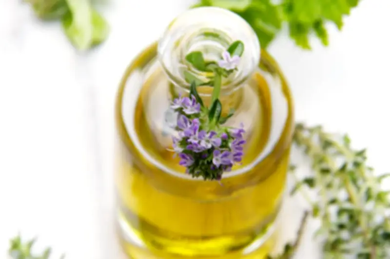 Cinq parfums d'exception pour célébrer le printemps et son renouveau olfactif