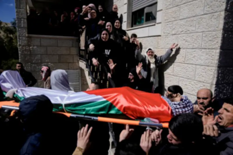 Cisjordanie : les colons israéliens intensifient leurs violences contre les Palestiniens