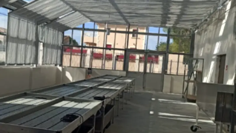 Collège de Saint-Geniès : la serre vide, un poste d'horticulture non pourvu depuis la rentrée