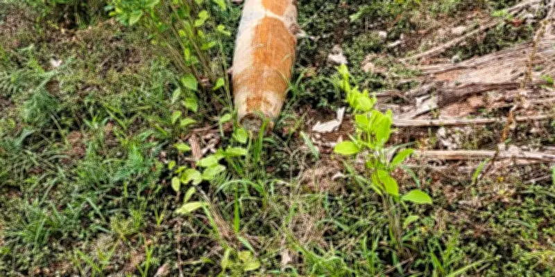 Colombie accuse l'Équateur de bombardement, Quito dément en pleine offensive anti-drogue