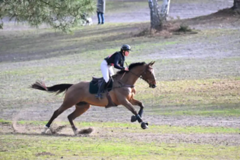 Concours Complet : Charlotte Bordas du Haras des Sens brille à Saumur