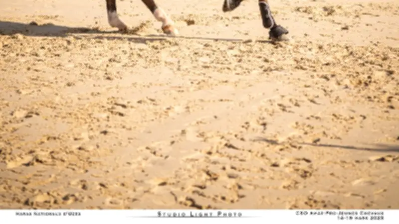 Concours de Saut d'Obstacles au Haras National d'Uzès : Un Rendez-vous Équestre d'Exception