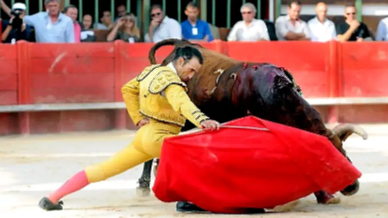 Conférence d'un ancien torero dans un lycée nîmois : l'Alliance Anticorrida dénonce du prosélytisme