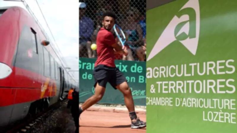 Crise agricole en Lozère, vautours empoisonnés dans l'Aude : l'actualité régionale du jour