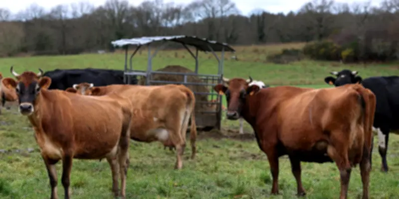 Crise climatique : des experts européens exigent une transformation radicale de l'agriculture