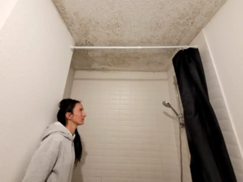 Crise à La Briqueterie : Locataires en lutte contre humidité et insécurité