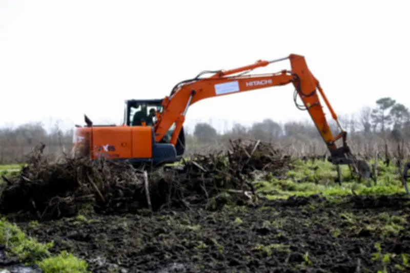 Crise viticole en Médoc : une réunion pour explorer la diversification des exploitations