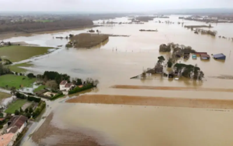 Crues historiques : Sud Ouest recueille les témoignages des sinistrés