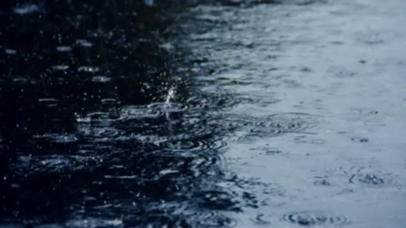 Côte d'Azur : un immeuble HLM évacué après l'effondrement d'un plafond dû aux pluies