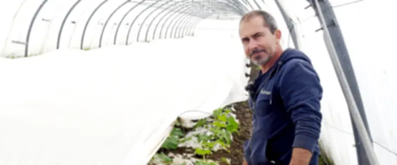 Dans l'Hérault, les maraîchers face à une météo inédite depuis trente ans