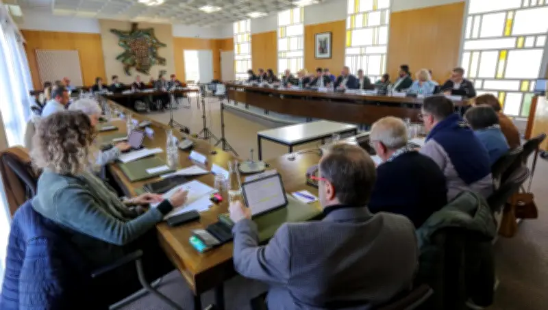 Dax : le Conseil municipal crée ses commissions thématiques pour accélérer la prise de décision