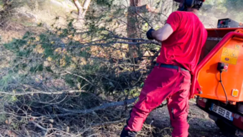 Débroussailler à Pézenas : une obligation légale vitale contre les incendies